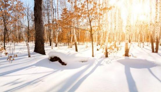 梦见深雪中迷路是什么意思 梦见深雪中迷路有什么预兆