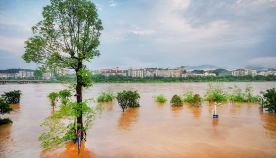 梦见河水上涨是什么意思 梦见河水上涨有什么预兆