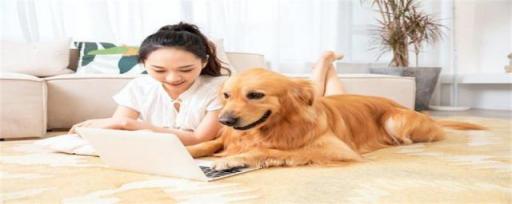 梦见狗咬左腿什么意思