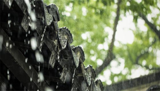 梦见大雨倾盆淋湿自己