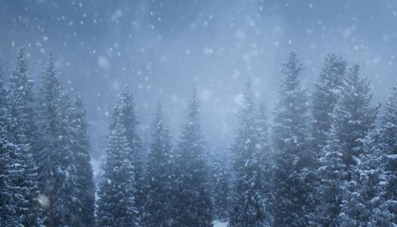 梦见下雪是什么意思?