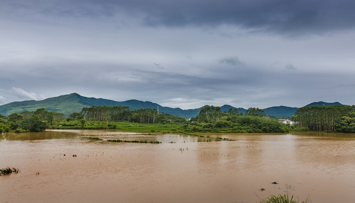 梦见发大水水很浑很黄