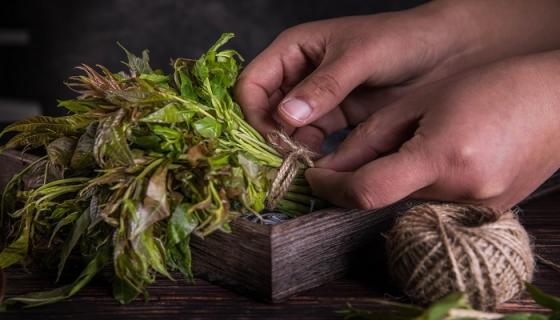 梦到和别人一起挖野菜