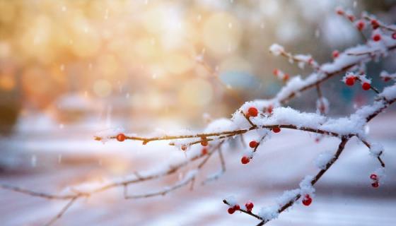 怀孕梦见下雪是女儿吗