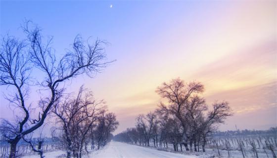 梦见下雪就会死人