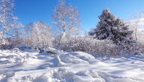 冬天梦见下雪是什么意思