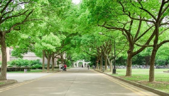 梦见考上大学是什么预示