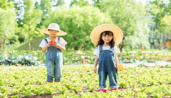 梦见两个小孩一男一女