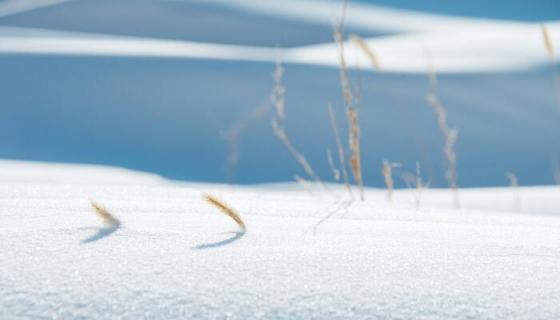 已婚女人梦见雪地行走