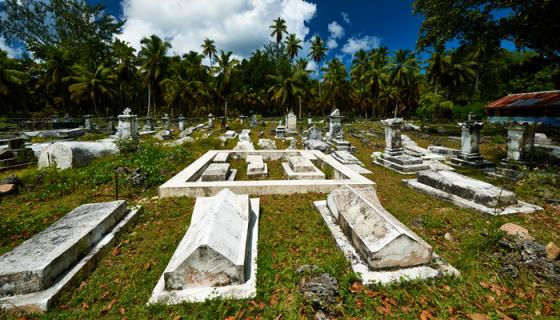 梦见去世的同学没有死