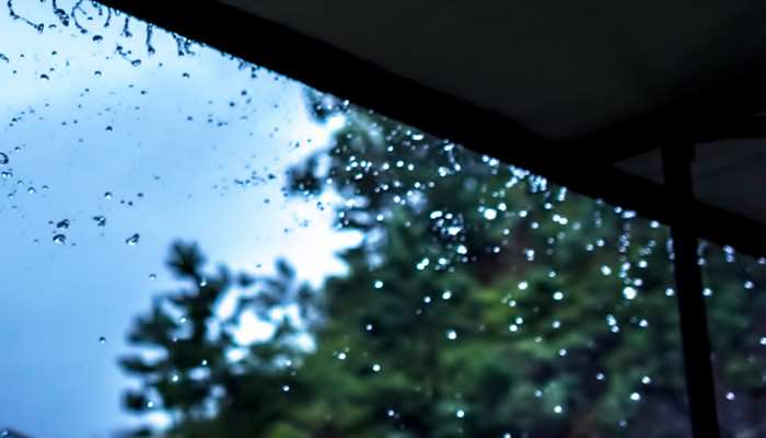 梦见雨下的好大