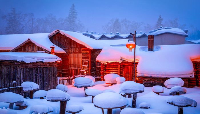 梦见在大雪里飞