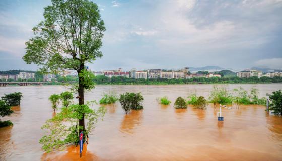 梦见大水掉水里