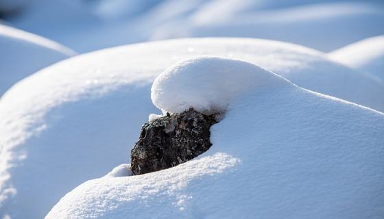 梦见雪球往下滚