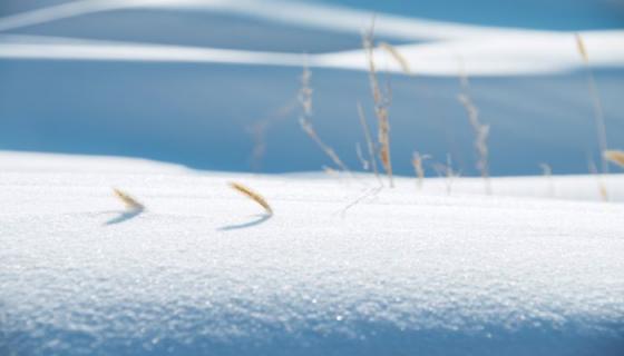 梦见雪落是什么意思 梦见雪落有什么预兆