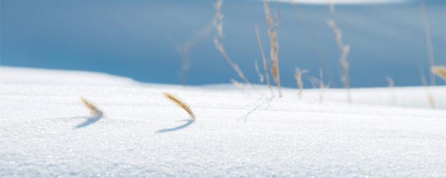 已婚女人梦见下鹅毛大雪