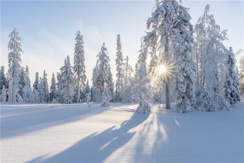 梦见下雪天预兆了什么吗