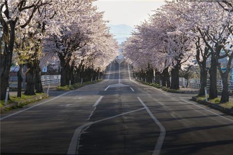 梦见堵路是凶兆还是吉兆