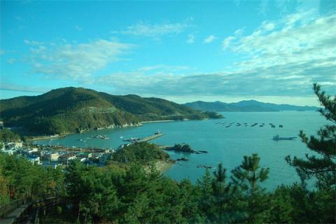 梦到了海南意味着什么