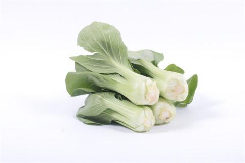 梦见青莱会是什么预兆