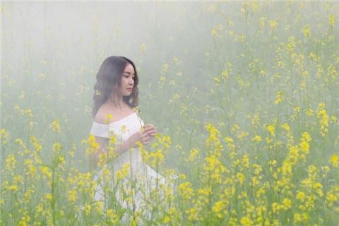 梦到了美人好不好