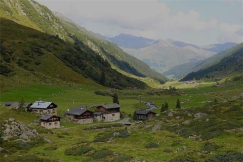 梦到了山区意味着什么