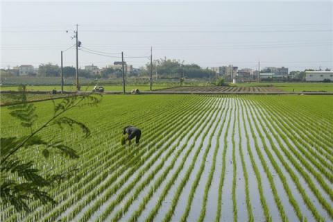 梦到地里干活代表什么