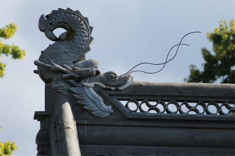 梦见假龙有什么预兆