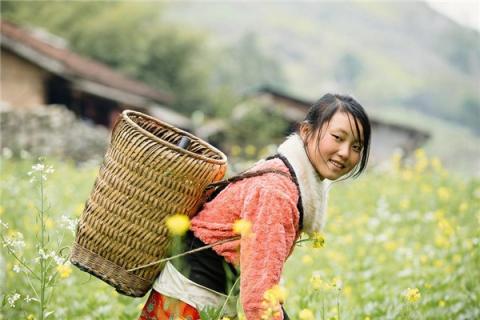 梦到送米是什么预兆