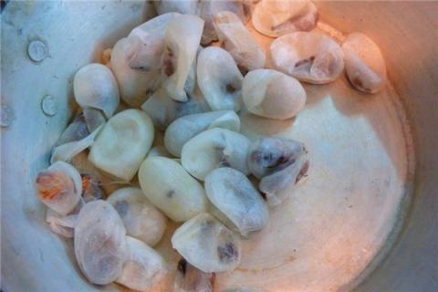 梦到蚕吐丝什么预兆