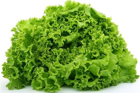 梦到牛皮菜是咋回事