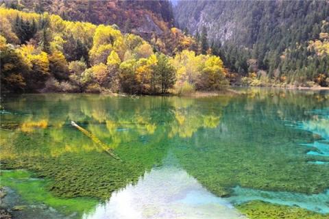 梦见水湖是什么意思