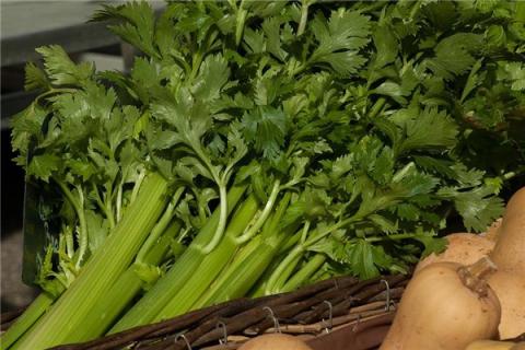 梦到了茼蒿是凶兆还是吉兆