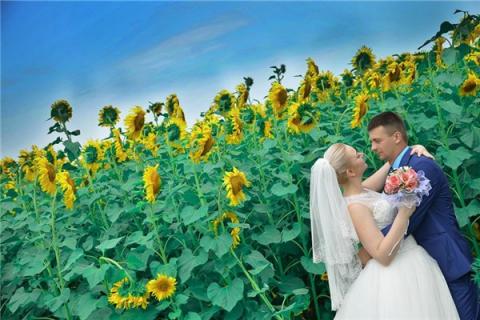 梦见情感是什么征兆