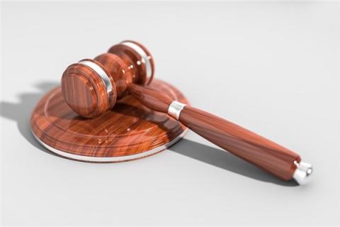 梦到权利预示什么