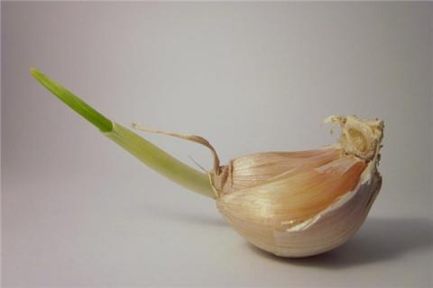 梦到拔大蒜是什么预兆