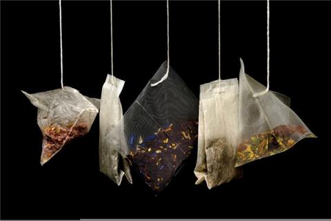 梦到了捡茶子是吉兆吗?