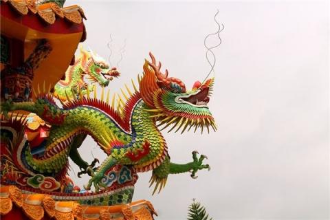 梦见打龙会是什么预兆