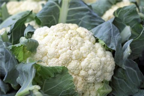 梦见买花菜是啥预兆