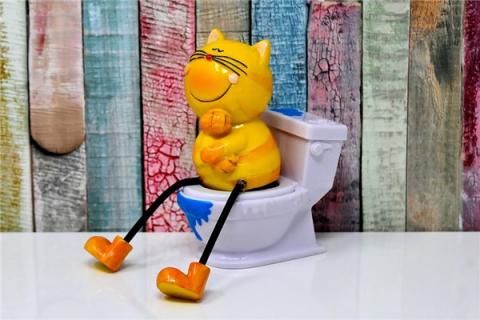 梦见上厕所被人看到是啥意思
