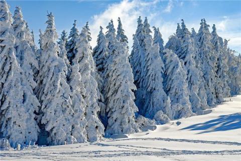 梦见雪化是啥预兆