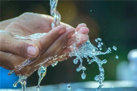 梦到了喂水怎么样