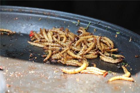 梦见米虫子怎么回事