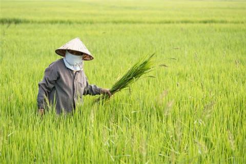 梦到帮忙干活怎么回事