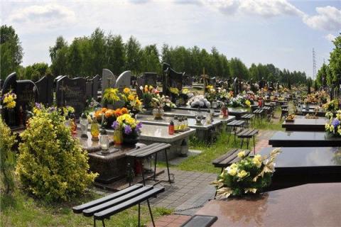 梦到了死人墓是什么意思