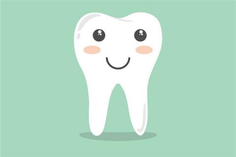梦到了下牙都掉了怎么样