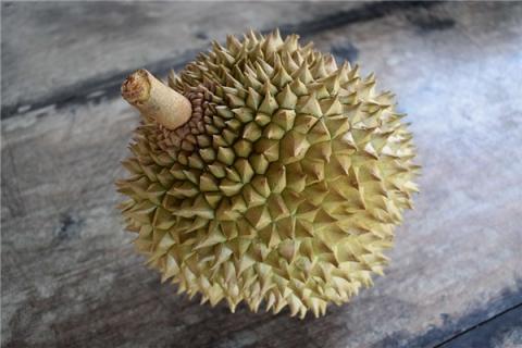 梦到了孕妇榴莲是吉兆吗?
