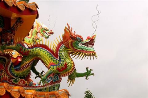 梦到木龙是什么征兆