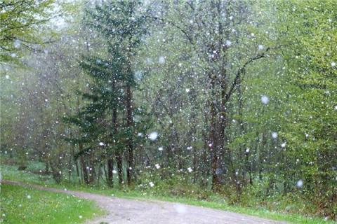 梦到了下雨夹雪是什么启示