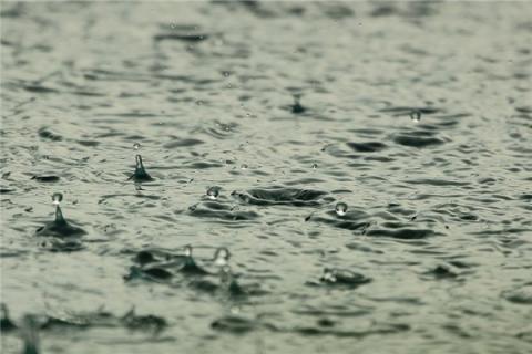 梦见下雨水预示着什么